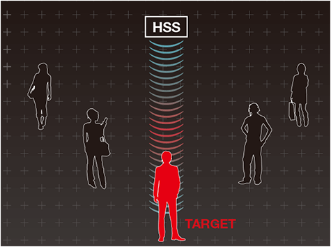 HSSシステムイメージ